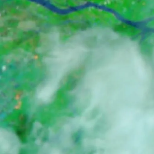 Wildfire near Autazes (Oct 16 · E) — NASA satellite