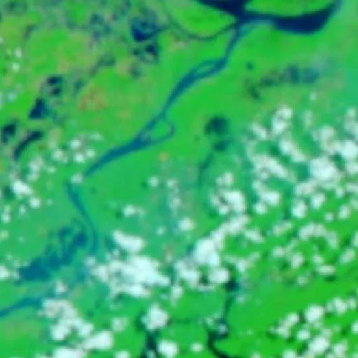 Wildfire near Autazes — NASA satellite