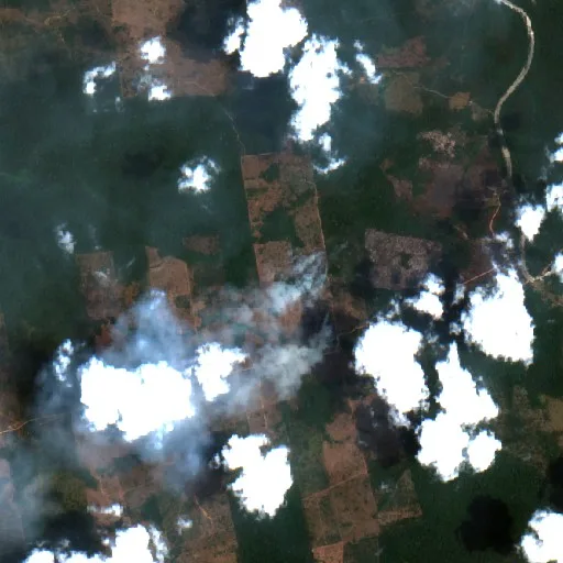 Wildfire near Aveiro (Oct 10) — Sentinel-2 true color