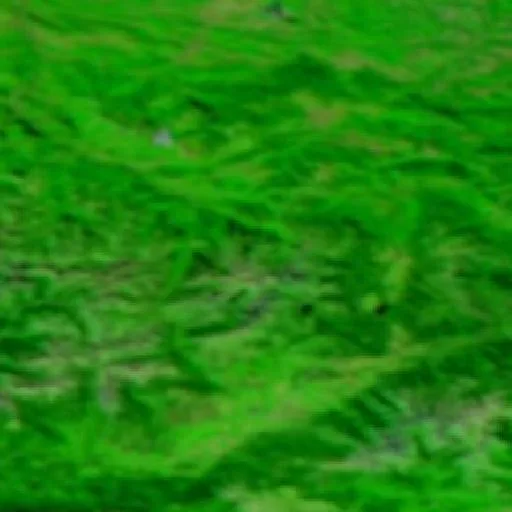Wildfire near Ax-les-Thermes — NASA satellite