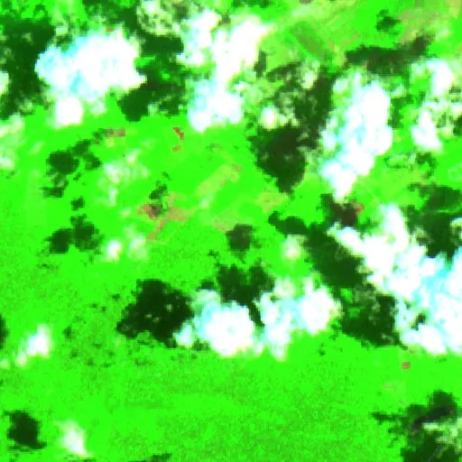 Incendio cerca de Bacalar (8 ago) — Sentinel-2 SWIR (fuego)