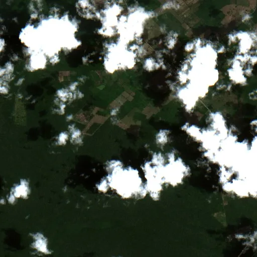 Incendio cerca de Bacalar (8 ago) — Sentinel-2 true color
