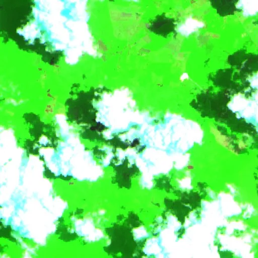 Incendio cerca de Bacalar (31 jul) — Sentinel-2 SWIR (fuego)