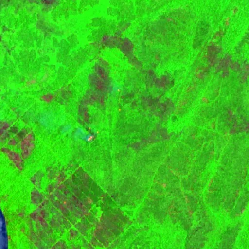 Wildfire near Bade (Oct 11) — Sentinel-2 SWIR (fuego)