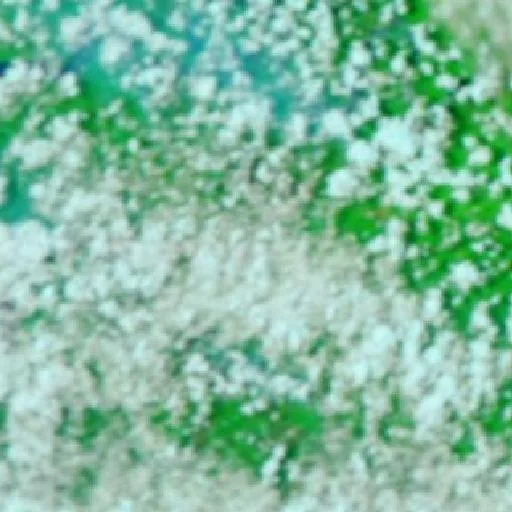 Wildfire near Bade — NASA satellite