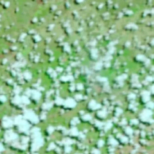 Incendio cerca de Baianópolis (6 oct) — NASA satellite