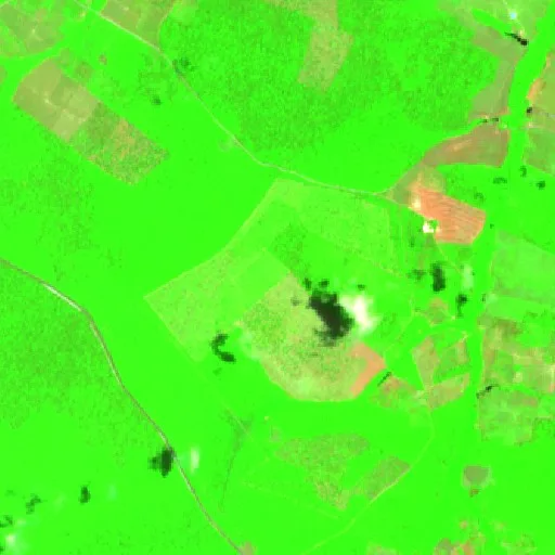 Wildfire near Baião — Sentinel-2 SWIR (fuego)