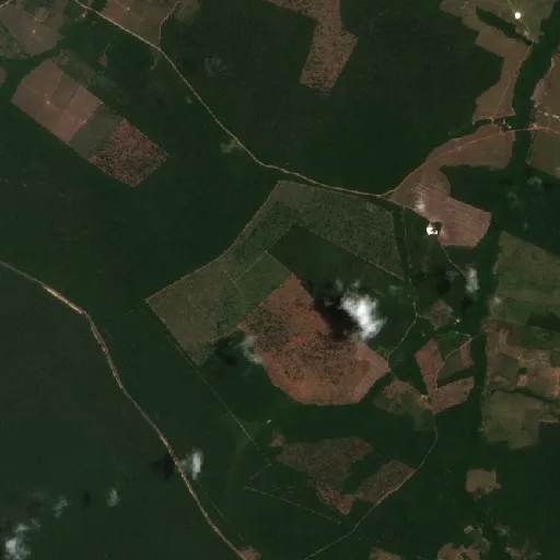 Wildfire near Baião — Sentinel-2 true color