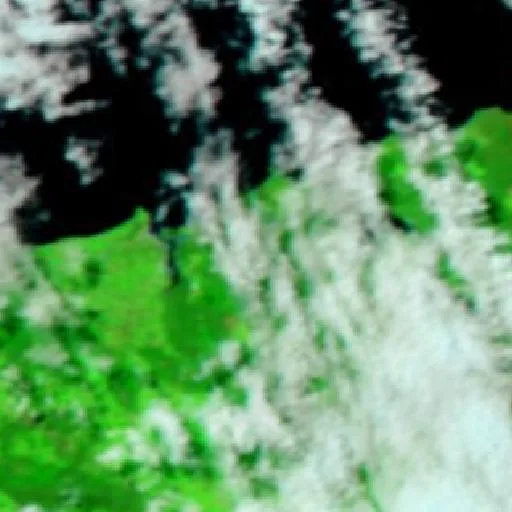 Bakers Beach Bushfire — NASA satellite