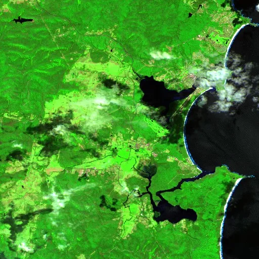 Bald Hills Bushfire — Sentinel-2 SWIR (fuego)
