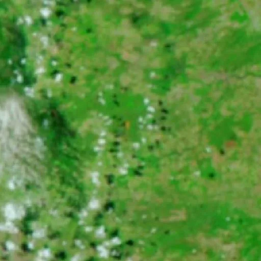 Wildfire near Baliza — NASA satellite