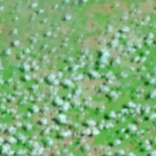 Incendio cerca de Balsas (29 sep · S) — NASA satellite