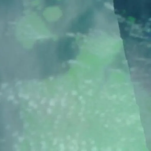 Incendio cerca de Bamaga — NASA satellite