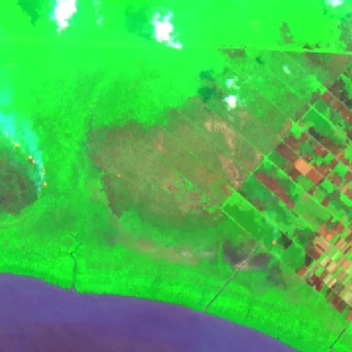 Wildfire near Bangka Selatan — Sentinel-2 SWIR (fuego)