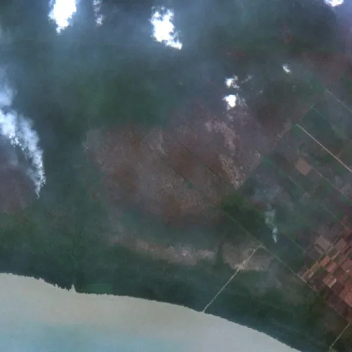 Wildfire near Bangka Selatan — Sentinel-2 true color
