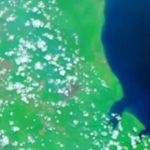 Wildfire near Banyuasin II — NASA satellite