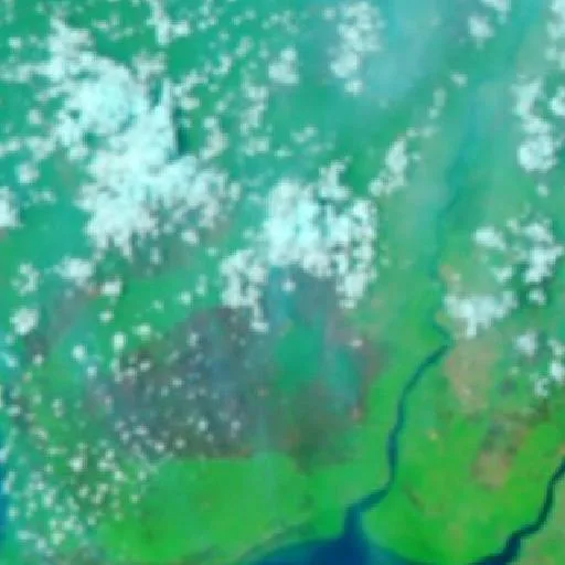 Wildfire near Basarang (Oct 3) — NASA satellite