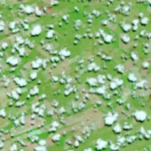 Wildfire near Batalha (Oct 1) — NASA satellite