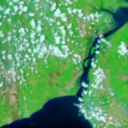 Incendio cerca de Batulicin — NASA satellite