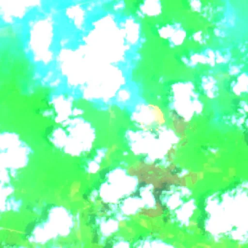 Incendio cerca de Bayung Lencir — Sentinel-2 SWIR (fuego)