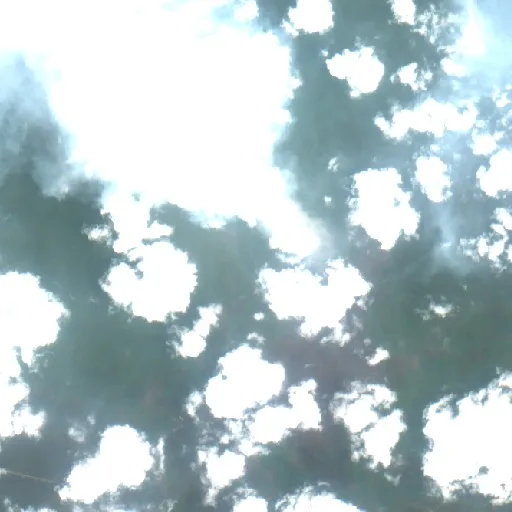 Incendio cerca de Bayung Lencir — Sentinel-2 true color