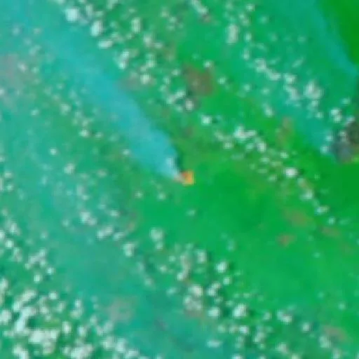 Wildfire near Bayunglincir — NASA satellite