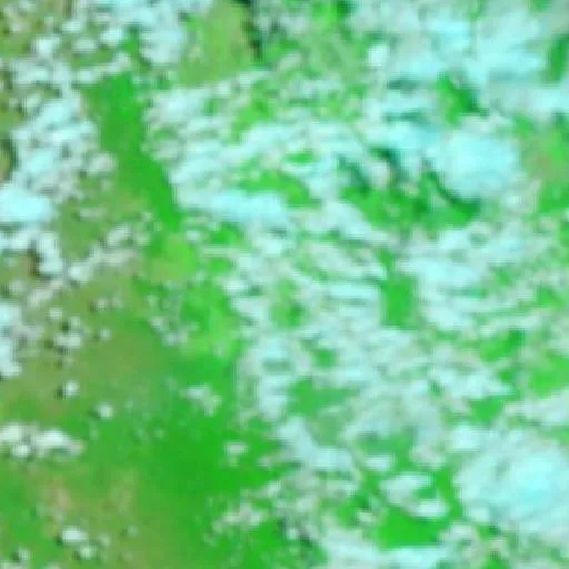 Beatrice Bushfire — NASA satellite