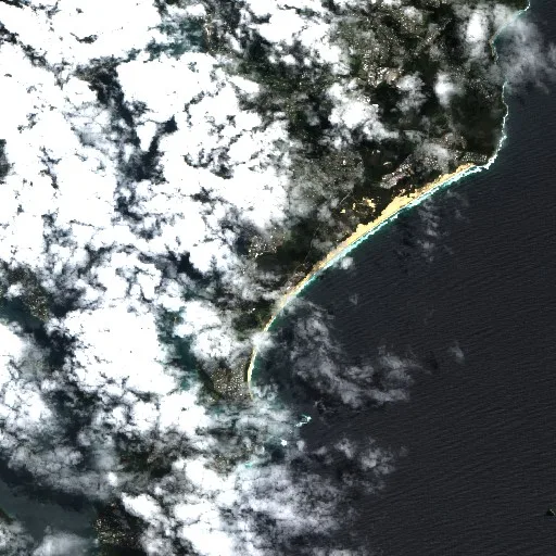 Belmont South Bushfire (undated #4) — Sentinel-2 true color