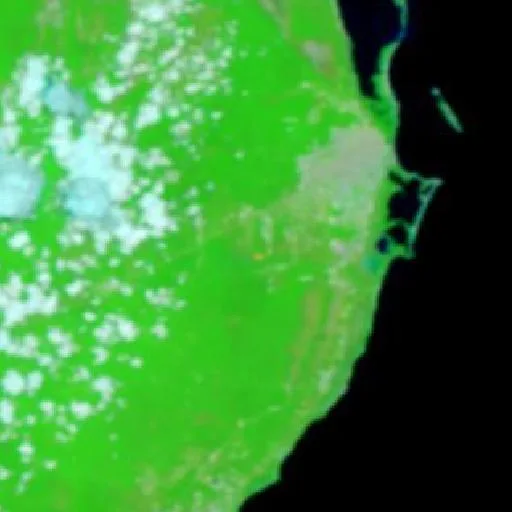 Wildfire near Benito Juárez — NASA satellite