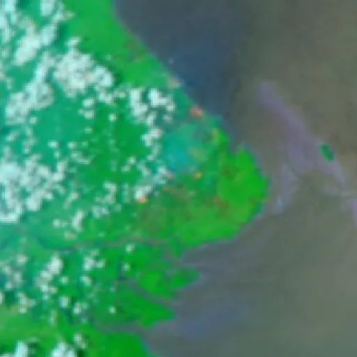 Wildfire near Berau (Sep 19 #2) — NASA satellite