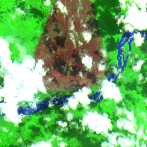 Wildfire near Bernardo — Sentinel-2 SWIR (fuego)