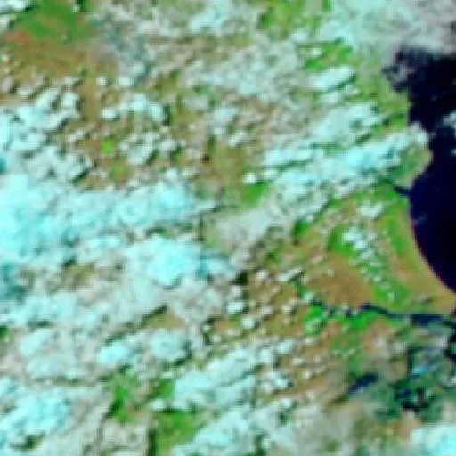 Berserker Bushfire — NASA satellite