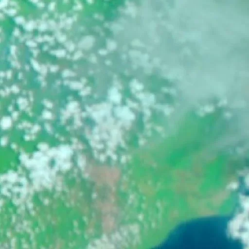 Wildfire near Binawara — NASA satellite