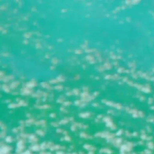 Incendio cerca de Bingintelok — NASA satellite