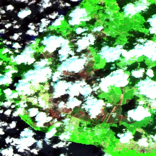 Wildfire near Biscarrosse (Jul 23 #2) — Sentinel-2 SWIR (fuego)