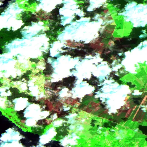 Wildfire near Biscarrosse (Jul 23) — Sentinel-2 SWIR (fuego)