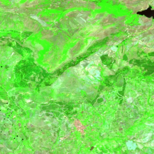 Incendio cerca de Bivona (Jul 20) — Sentinel-2 SWIR (fuego)