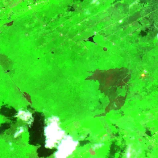 Wildfire near Blasillo 1ra. Sección (Nicolás Bravo) — Sentinel-2 SWIR (fuego)
