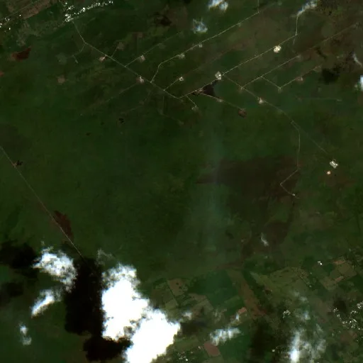 Wildfire near Blasillo 1ra. Sección (Nicolás Bravo) — Sentinel-2 true color