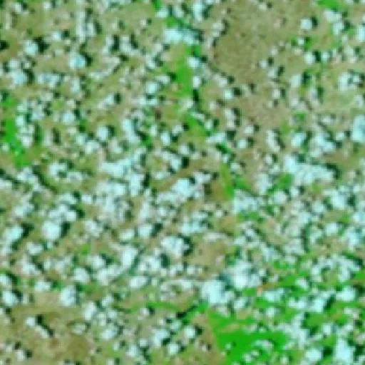 Wildfire near Boa Vista — NASA satellite