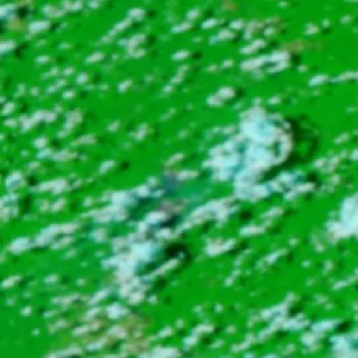 Wildfire near Boa Vista do Pacarana (Sep 19) — NASA satellite