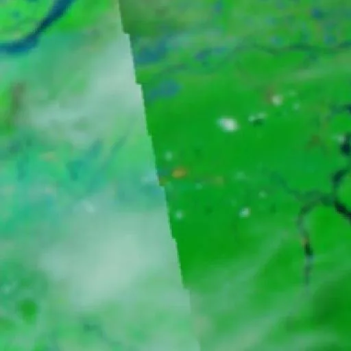 Wildfire near Boa Vista do Ramos — NASA satellite