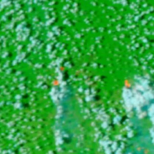 Wildfire near Boca do Acre — NASA satellite