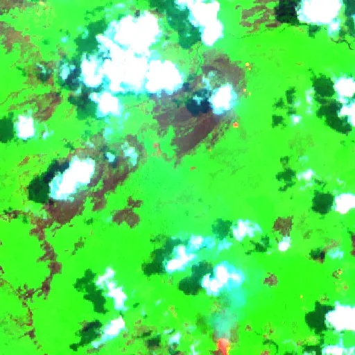 Wildfire near Bogia District (Sep 29) — Sentinel-2 SWIR (fuego)