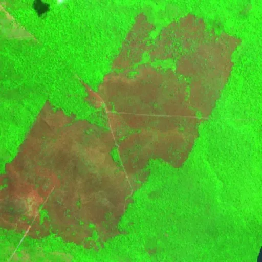 Incendio cerca de Bom Futuro (25 ago) — Sentinel-2 SWIR (fuego)