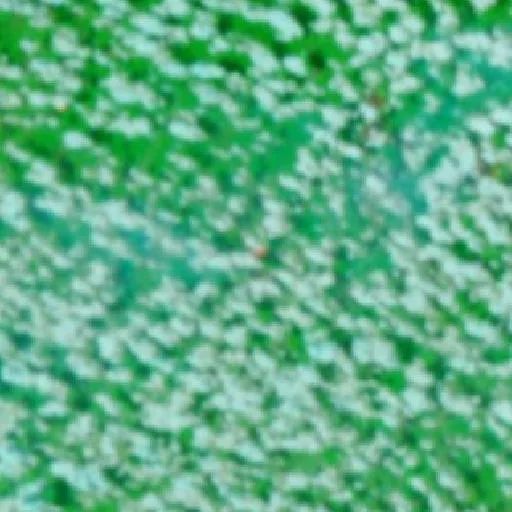 Incendio cerca de Bom Jardim (13 oct) — NASA satellite