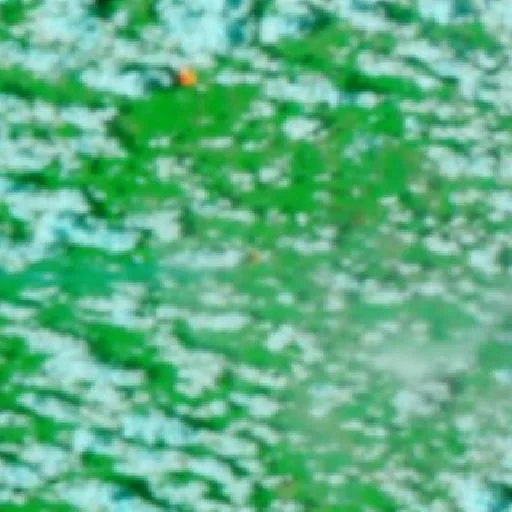 Wildfire near Bom Jardim (Oct 23) — NASA satellite