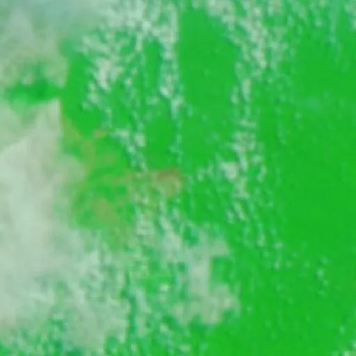 Wildfire near Bom Jardim (Sep 11) — NASA satellite