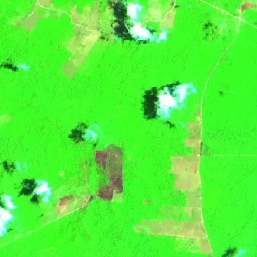 Wildfire near Bom Jesus — Sentinel-2 SWIR (fuego)