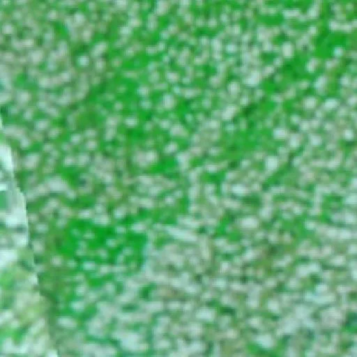 Incendio cerca de Bom Jesus do Tocantins — NASA satellite